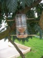 RECYCLAGE bouteille plastique en MANGEOIRE pour OISEAUX